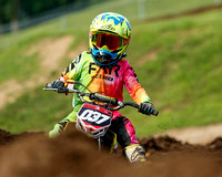 redbud_20220813-57