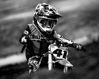 redbud_20220813-55