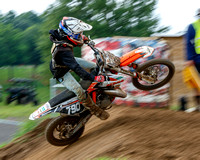 redbud_20220814-55