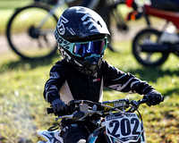 LogRoad_080112024-8