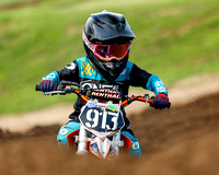 redbud_20220813-43